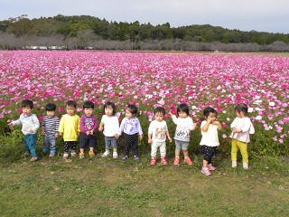 【お散歩】西都原古墳公園にて